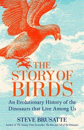 Book cover for The Story of Birds