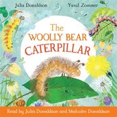 Book cover for The Woolly Bear Caterpillar