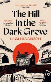 Book cover for The Hill in the Dark Grove