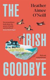 Book cover for The Irish Goodbye