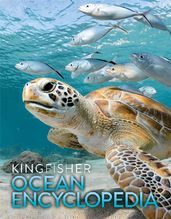 Book cover for The Kingfisher Ocean Encyclopedia