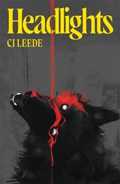Book cover for Headlights